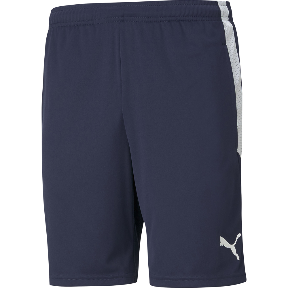 Puma Training Shorts teamLIGA blau-weiß