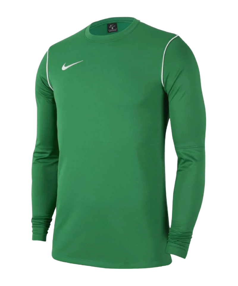 Nike Park 20 Sweatshirt Kinder green F302