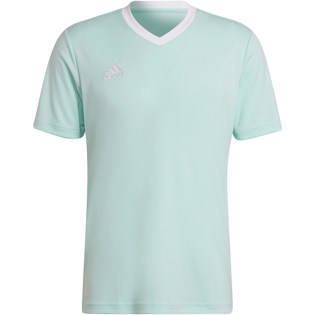 Adidas Herren Trikot Entrada 22 türkis