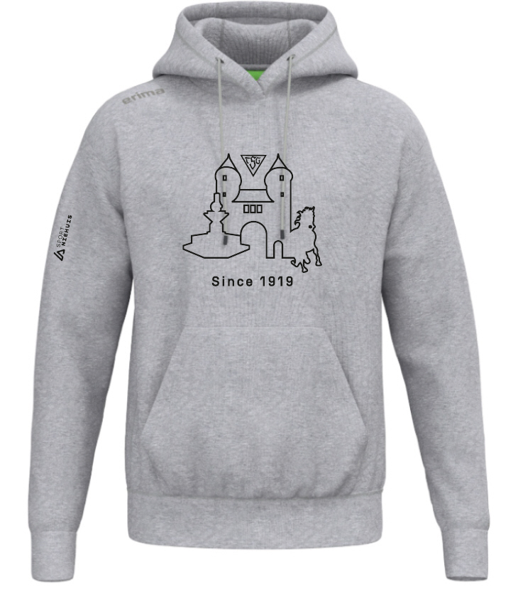 TSG Dülmen Kapuzenhoodie TS grau