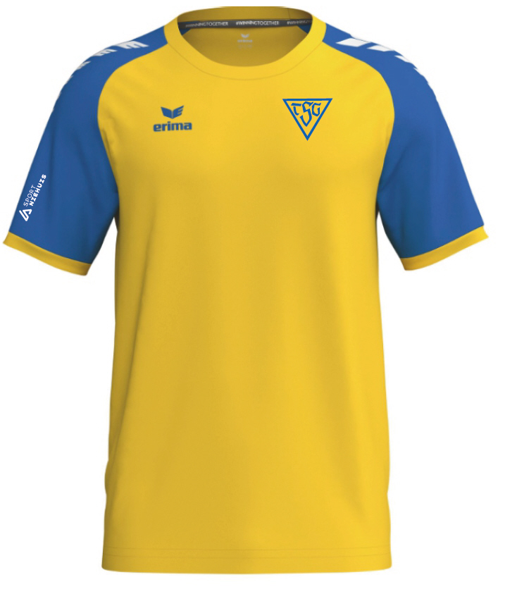 TSG Dülmen Trikot Wings