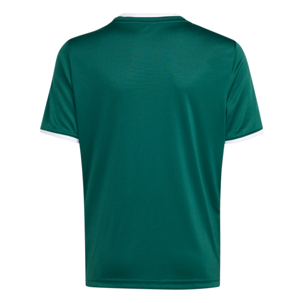 Adidas Entrada 26 Trikot Kids Dunkelgrün