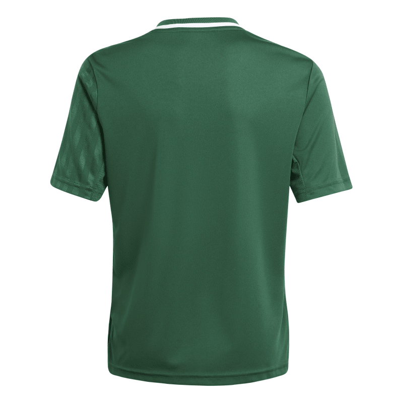 Adidas Kinder Kurzarm Trikot Campeon 25 team dark green-white