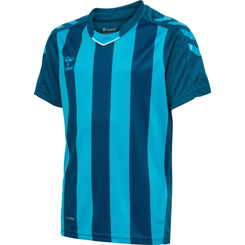 Hummel Hmlcore XK Striped Jersey S/S Kids blue coral/blue danube