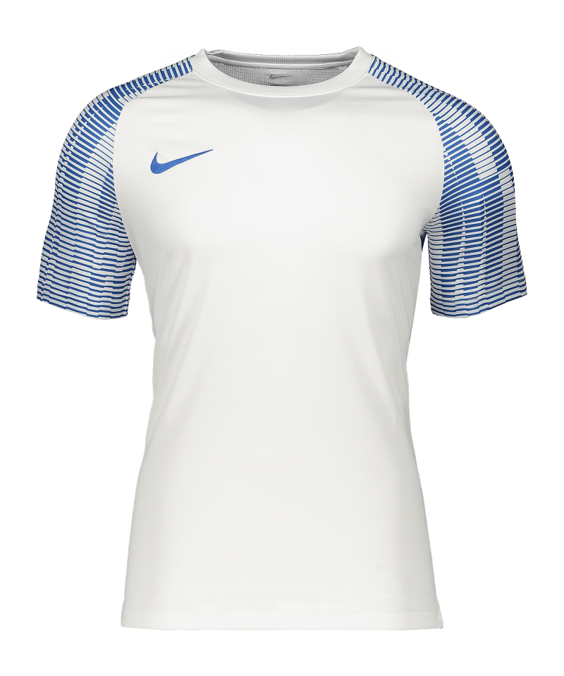 Nike Academy Trikot Kinder white blue F102