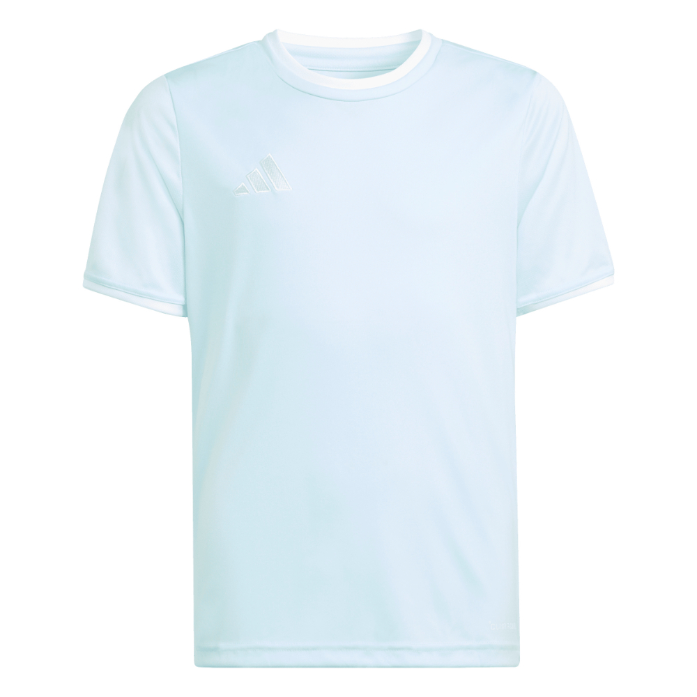 Adidas Entrada 26 Trikot Kids Mint