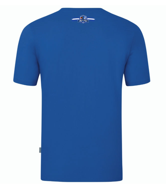 Jagsttalbuwe Hoffenheim Spezialshirt Organic blau