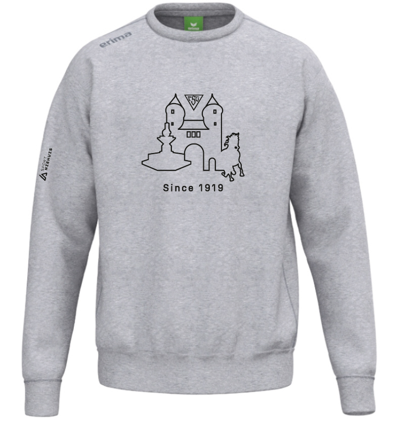TSG Dülmen Sweatshirt TS grau
