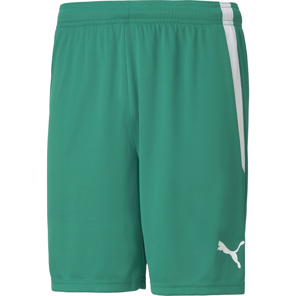 Puma Kinder Shorts teamLIGA grün-weiß
