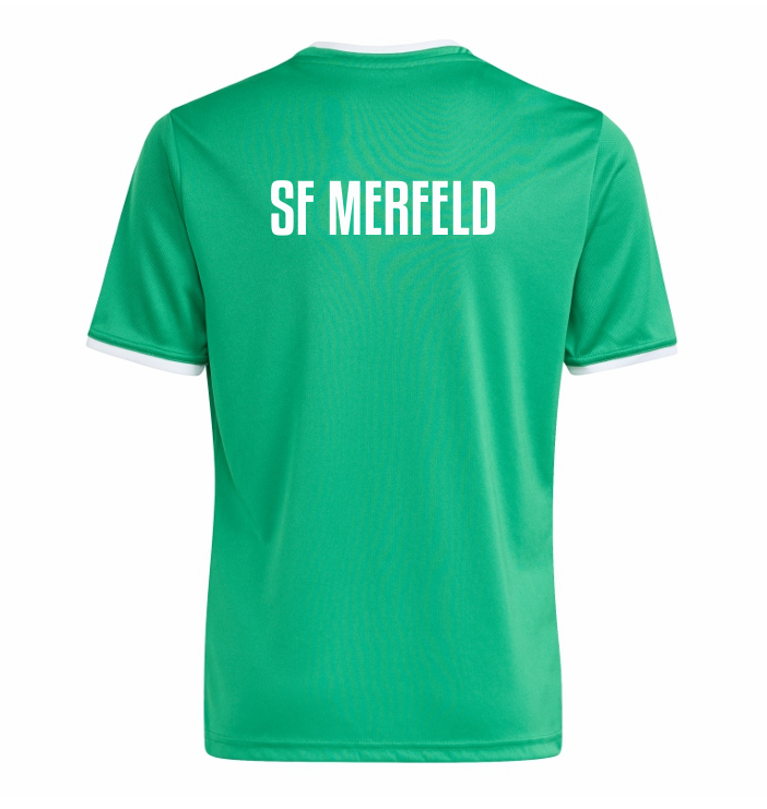 SF Merfeld Trikot Entrada 26  grün