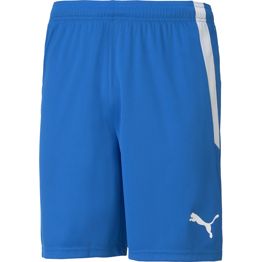 Puma Kinder Shorts teamLIGA blau-weiß