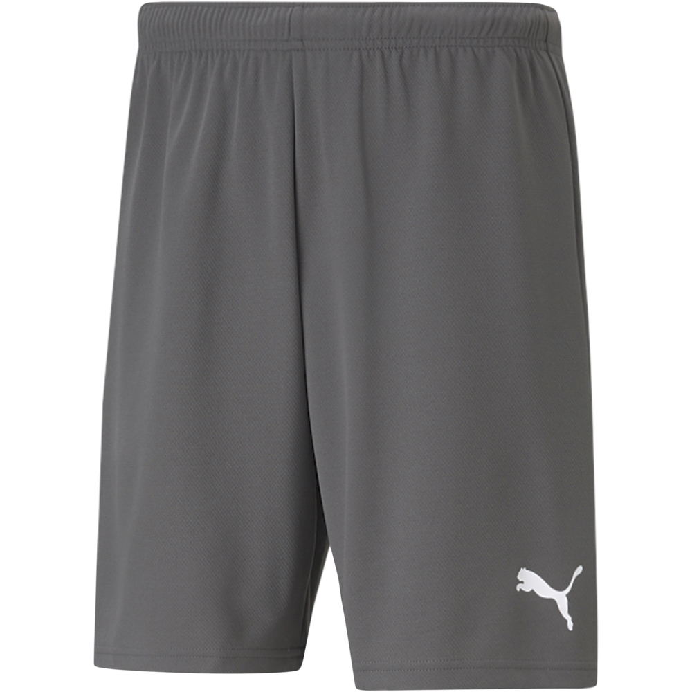 Puma Kinder Shorts teamRISE grau-weiß