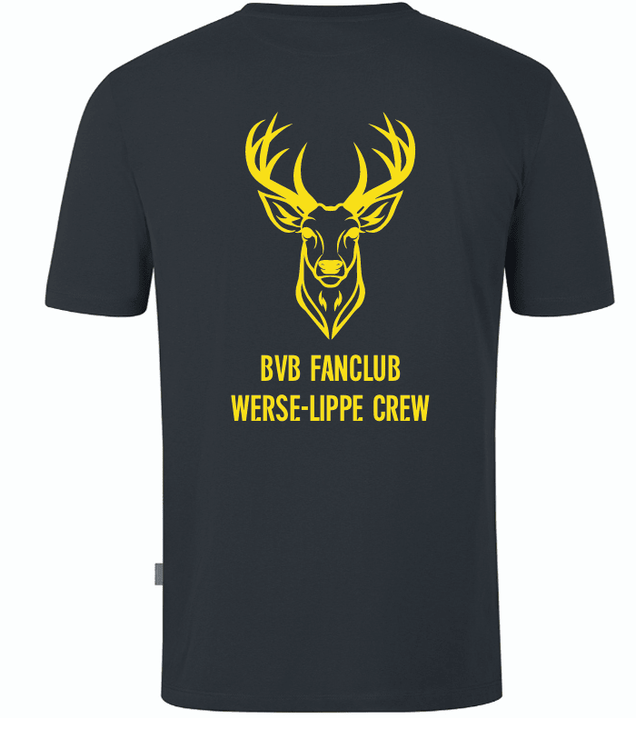 Werse Lippe Crew T-Shirt Doubletex grau