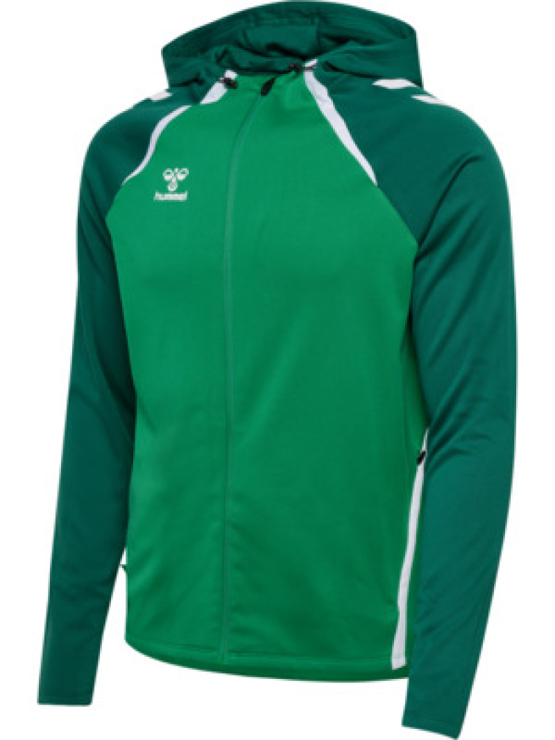 Hummel hmlLEAD 2.0 ZIP HOODIE KIDS jelly bean/evergreen