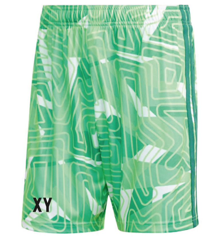 SV Gescher Tiro 26 Torwartshort grün