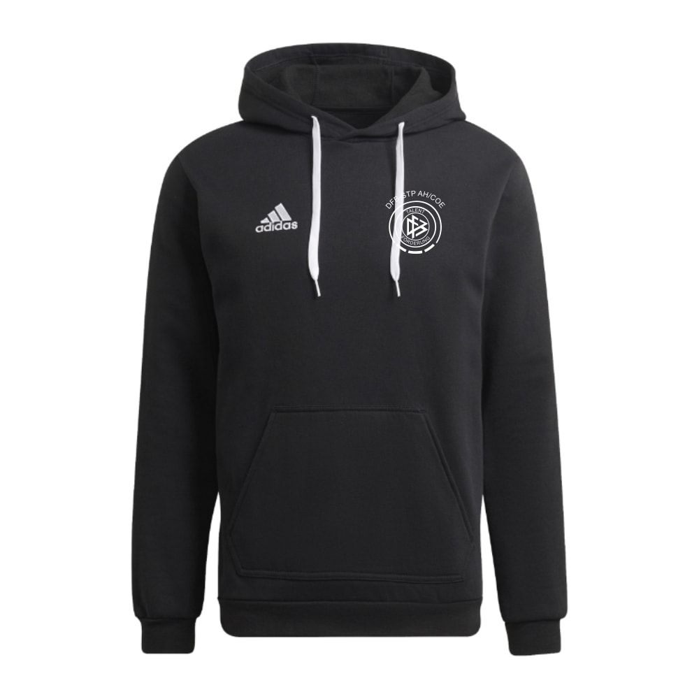 DFB Stützpunkt Hoodie Entrada 22