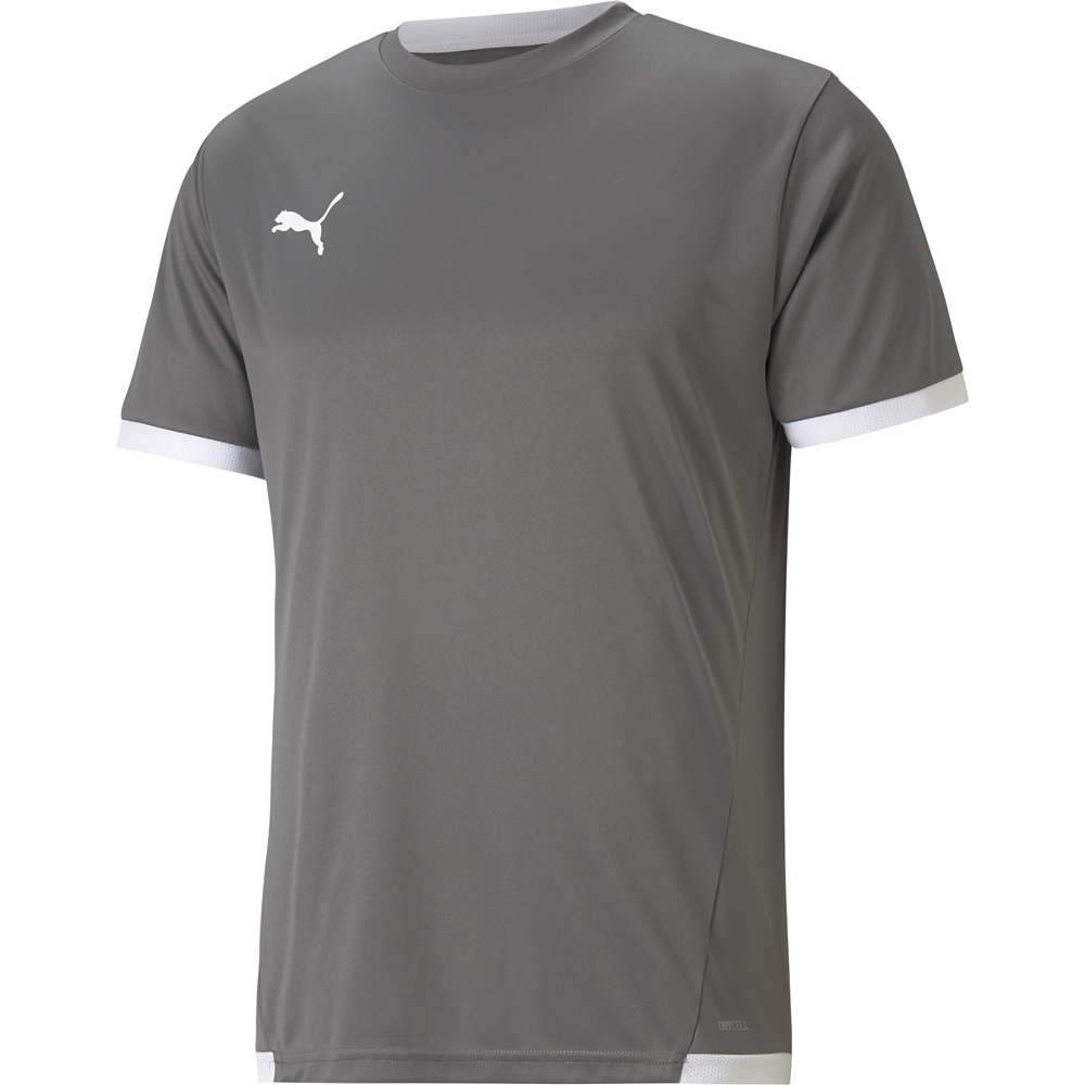 Puma Kinder Trikot teamLIGA grau-weiß