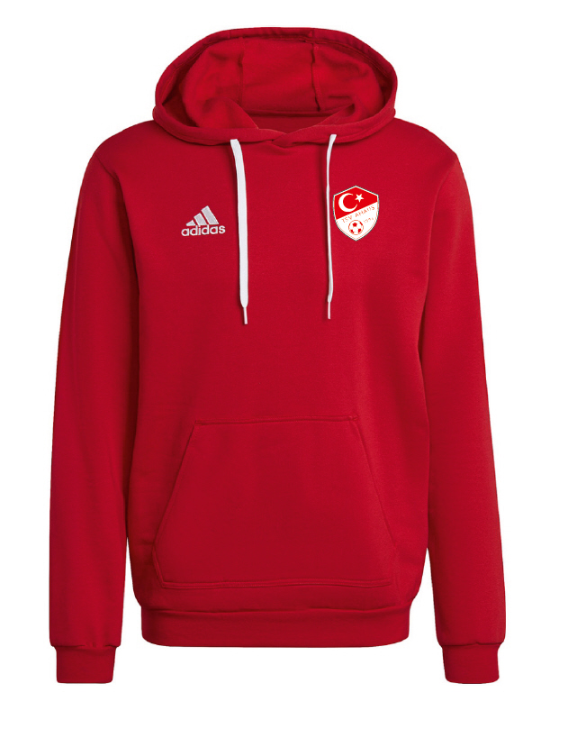 TSV Ahaus Hoodie Entrada 22