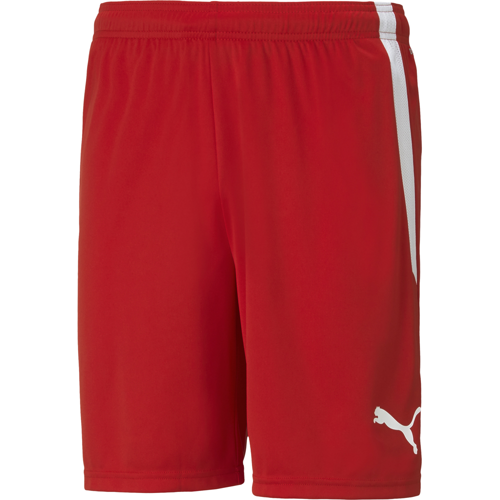 Puma Herren Shorts teamLIGA rot-weiß