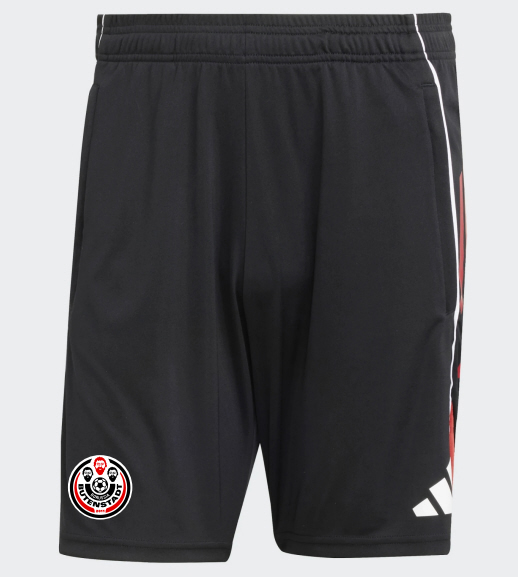 Borussia Butenstadt Shorts Tiro 25 mit RV