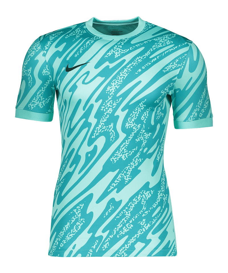 Nike Gardien V Goalkeeper Trikot turquoise F354
