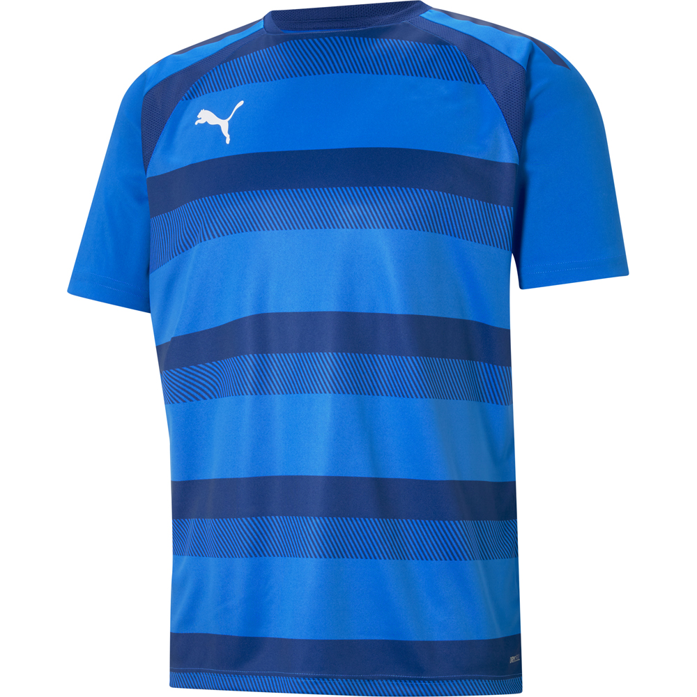 Puma Trikot teamVISION blau-weiß