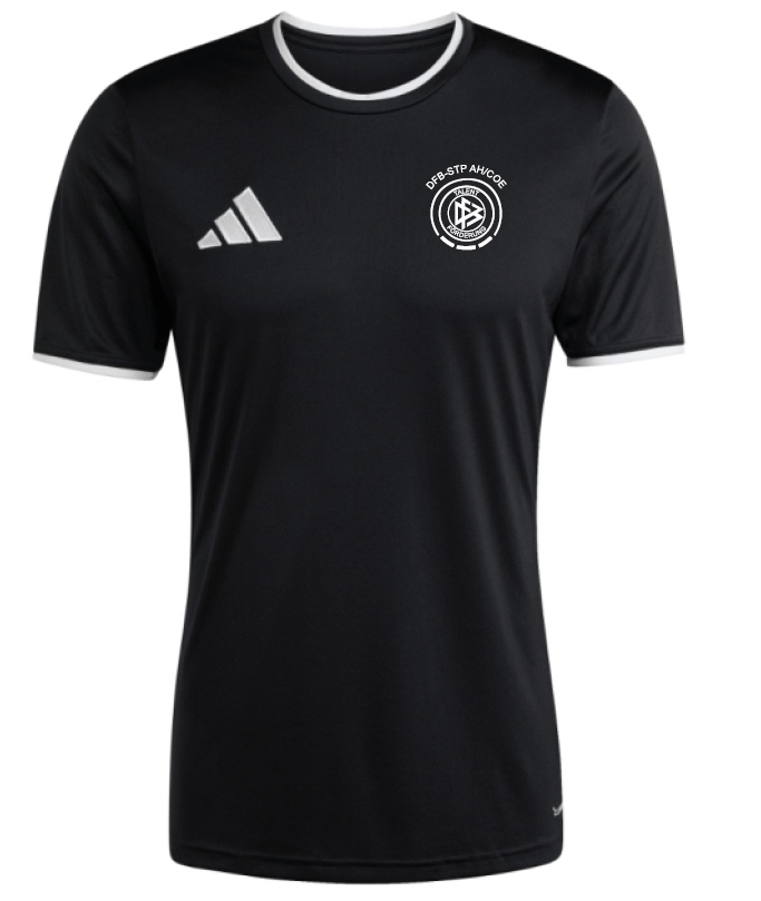 DFB Stützpunkt Entrada 26 Trikot schwarz