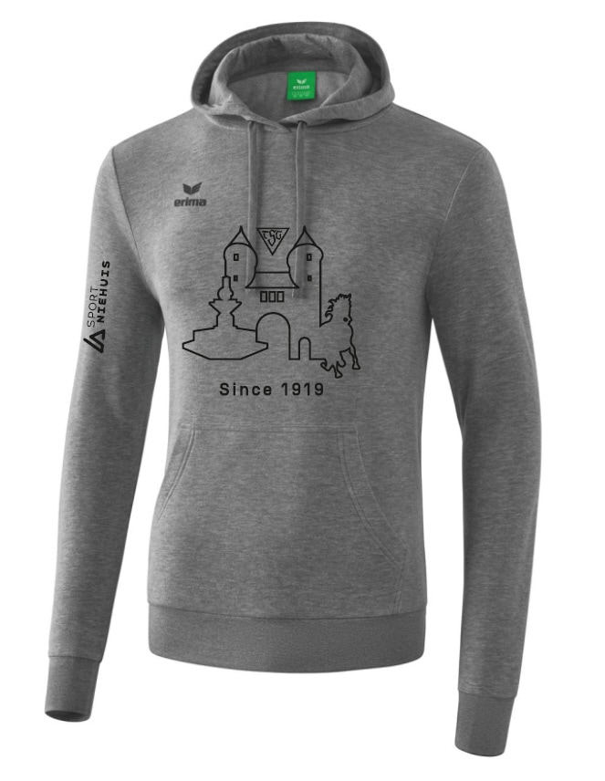 TSG Dülmen Kapuzensweat grau