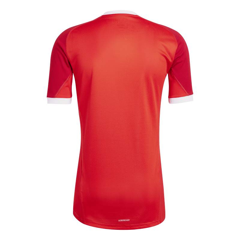 Adidas Torwartrikot Tre 24 red