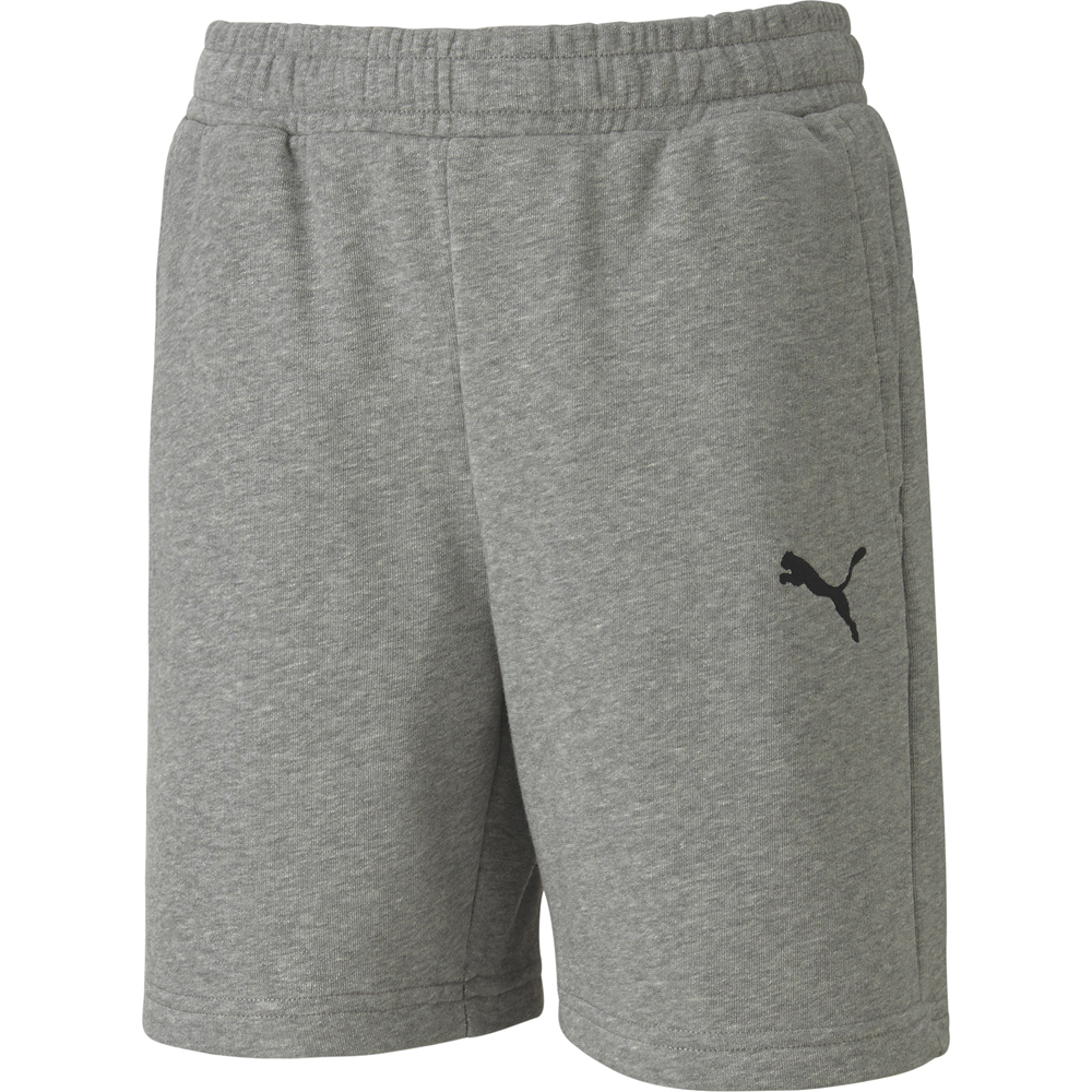 Puma Kinder Shorts teamGOAL 23 Casuals grau