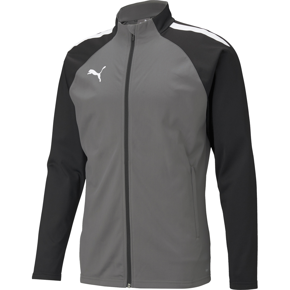 Puma Kinder Trainingsjacke teamLIGA grau-schwarz