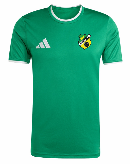SF Merfeld Trikot Entrada 26  grün