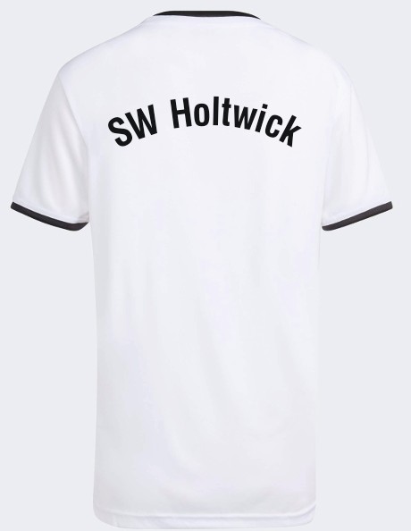 SW Holtwick Trikot Entrada 26 weiß