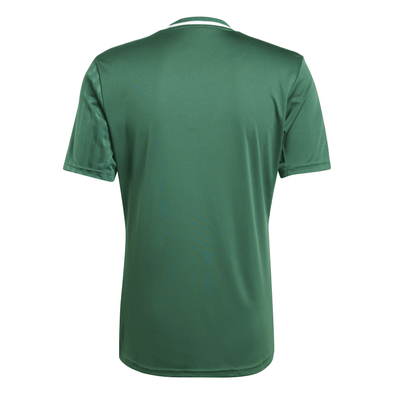 Adidas Kurzarm Trikot Campeon 25 team dark green-white