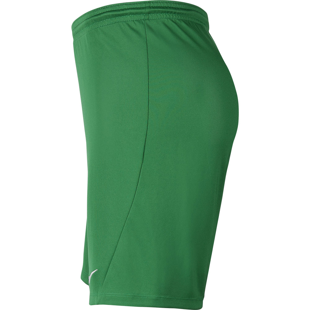 Nike Park III Herren Shorts pine green-weiß