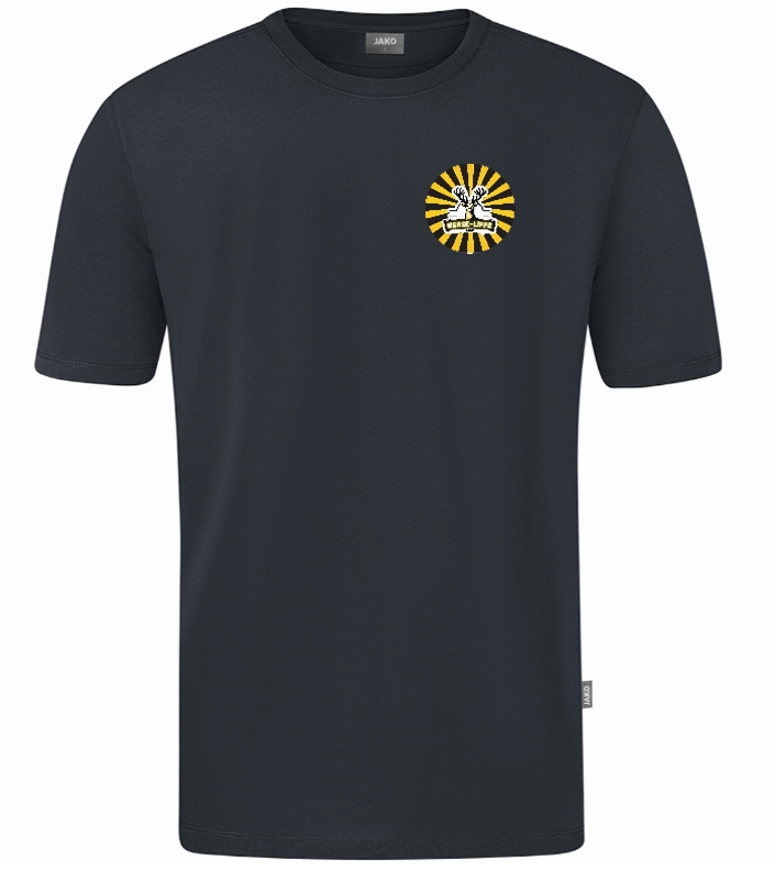 Werse Lippe Crew T-Shirt Doubletex grau