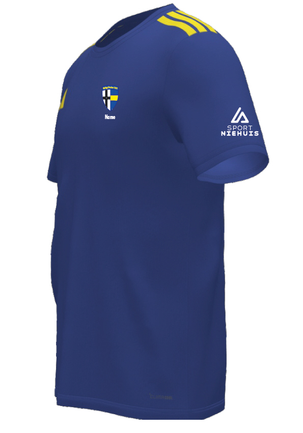 SpVgg Vreden Aufwärmshirt blau gelb