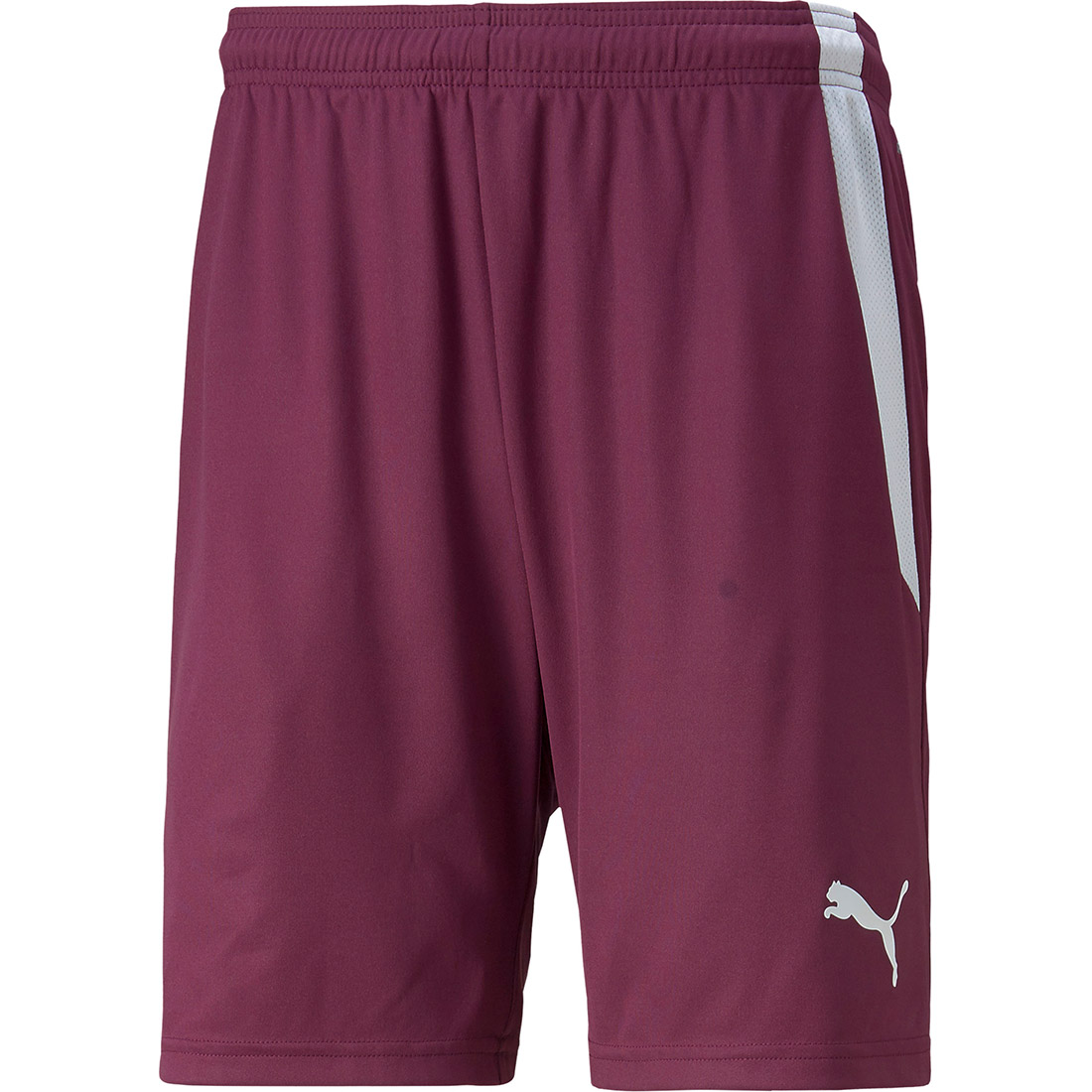 Puma Herren Shorts teamLIGA rot-weiß