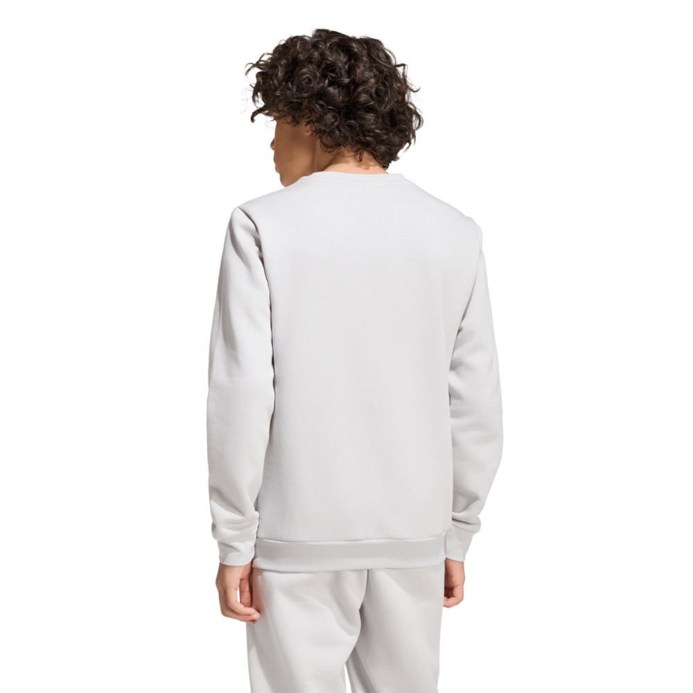 Adidas Entrada 26 Sweatshirt Kids Grau