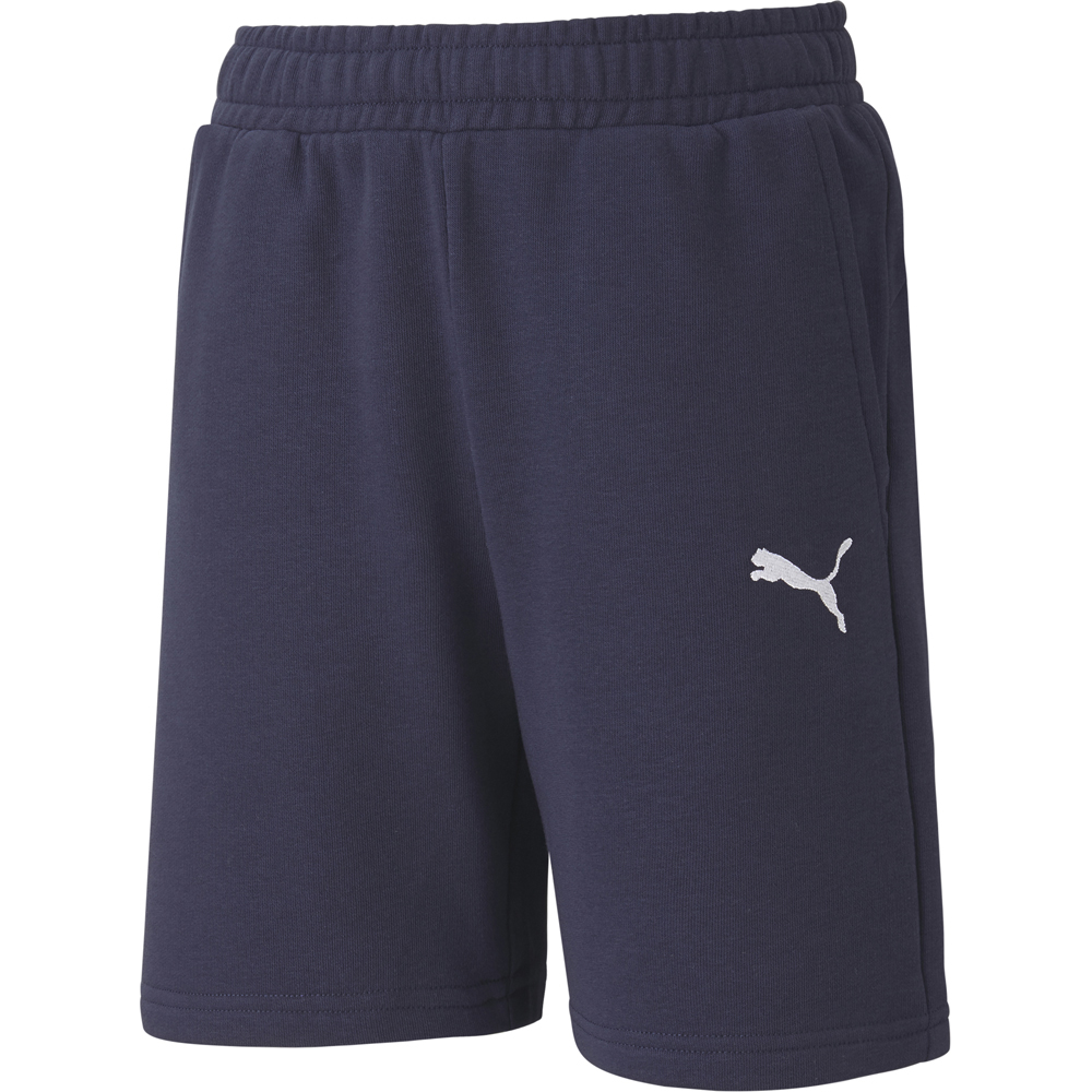 Puma Kinder Shorts teamGOAL 23 Casuals blau