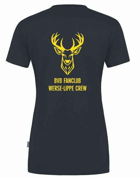Werse Lippe Crew T-Shirt Doubletex Damen grau