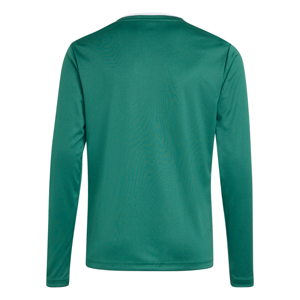 Adidas Entrada 26 Langarmtrikot Kids Dunkelgrün