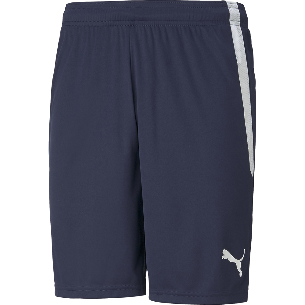 Puma Kinder Shorts teamLIGA blau-weiß