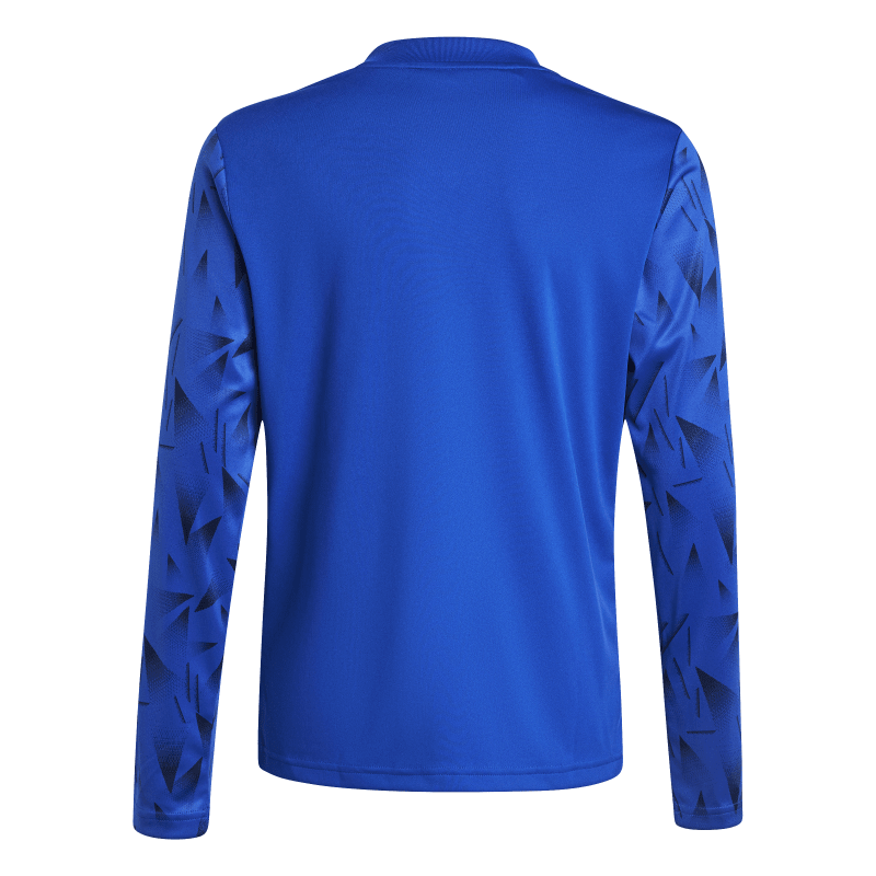 Adidas Kinder Langarm Trikot Team Icon 25 team royal blue-white