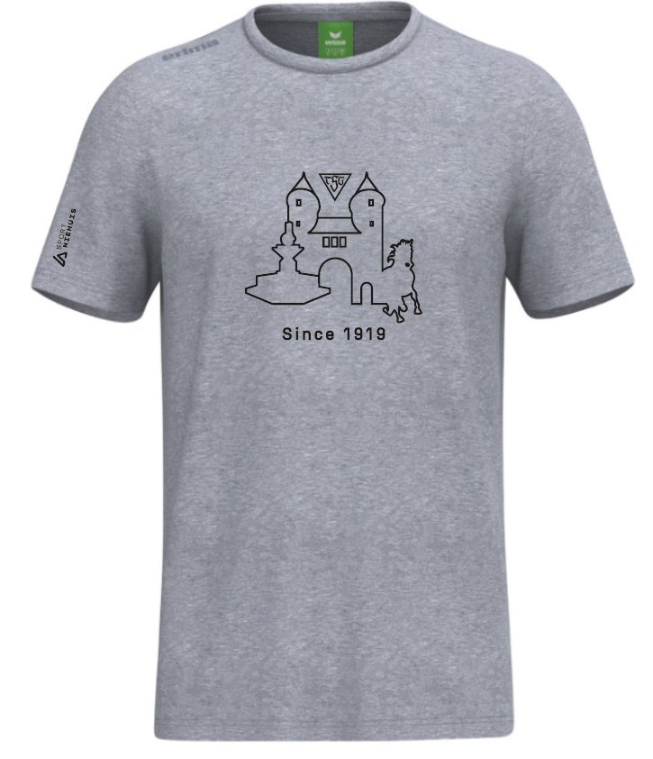 TSG Dülmen T-Shirt TS grau