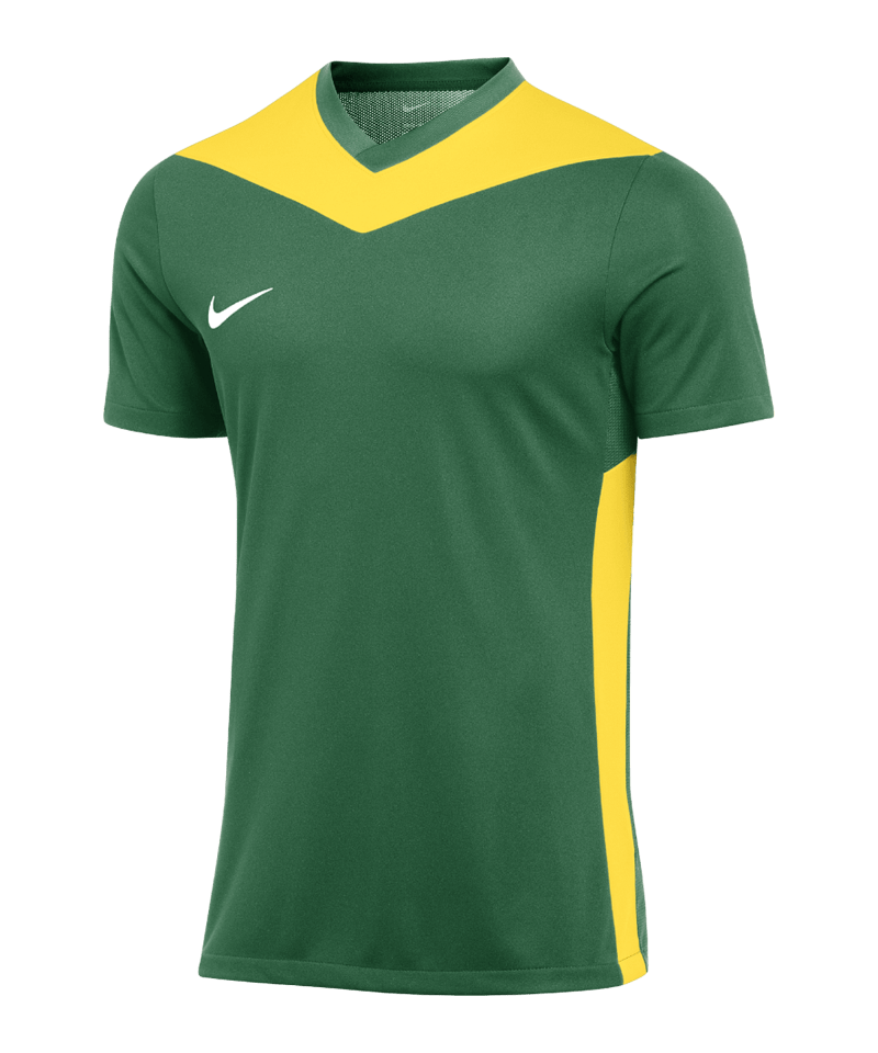 Nike Park Derby IV Trikot green yellow F303