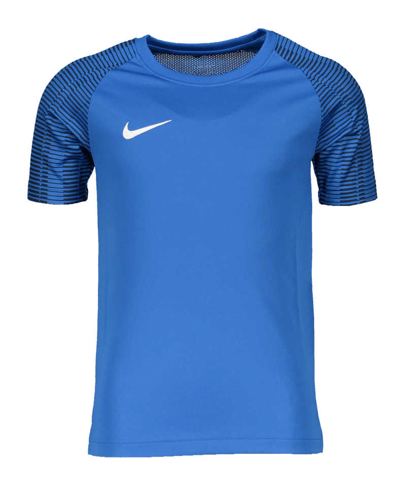 Nike Academy Trikot Kinder blue white F464