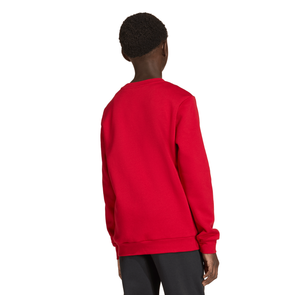Adidas Entrada 26 Sweatshirt Kids Rot