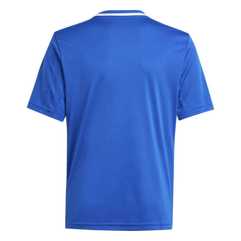 Adidas Kinder Kurzarm Trikot Campeon 25 team royal blue-white