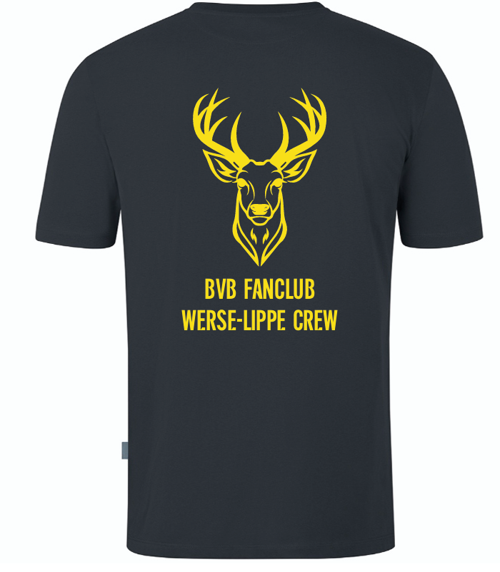 Werse Lippe Crew T-Shirt Doubletex grau